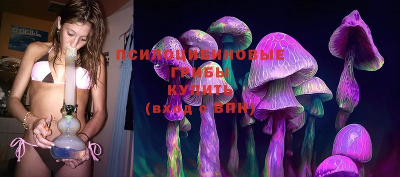 Галлюциногенные грибы MAGIC MUSHROOMS  Серафимович 